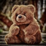 【緊急】熊の危険が身近に！遭遇時の正しい対処法と絶対NGな行動を専門家が解説