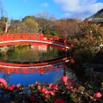 世界の美しい橋と世界に負けない日本の美しい橋