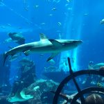 アトランティスをモチーフした水族館がドバイに!