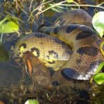 【閲覧注意】世界の危険な場所15選！命の危険が潜む恐怖のスポットを徹底解説