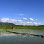 【完全ガイド】世界の民話 本の選び方|年齢別おすすめ10選と読み聞かせのコツを徹底解説