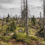 【関東パワースポット自然編】心身を癒す滝・湖・森林の秘境15選!日帰りで行ける開運スポット完全ガイド