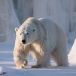 【緊急】熊の危険が急増中!遭遇時の正しい対処法と絶対NGな行動を専門家が解説