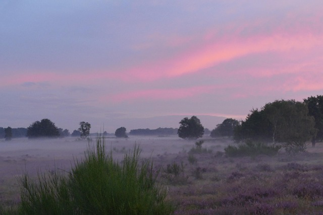 early morning cycling